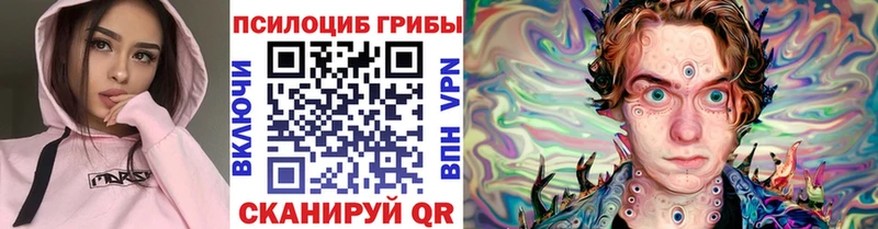 дарк нет Telegram Кукмор Галлюциногенные грибы Cubensis